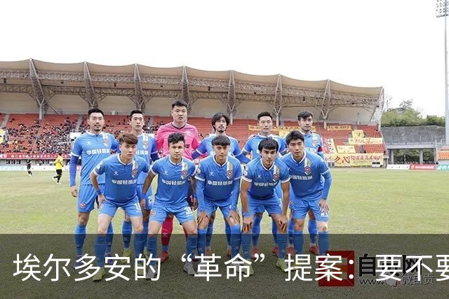 埃尔多安的“革命”提案：要不要把否决权扔进垃圾桶？